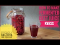 How to make fermented beet kvass: friendly bacteria for your gut