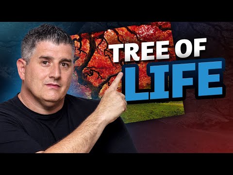 How a Tree on My Desk Transforms My Workday.