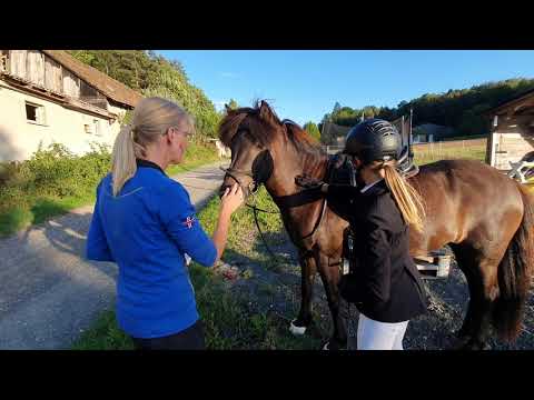 Reiten 24.8.20