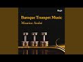 Trumpet Concerto in G Minor, RV. 103: I. Vivace