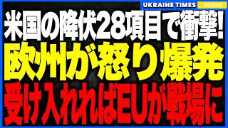 欧州が“トランプ和平28項目”に怒り爆発！領土放棄・軍縮・NATO永久禁止の“史上最悪の降伏案”が判明し、EUは「このままでは5年以内に欧州が戦場になる！」と緊急警告…米欧同盟が戦後最大の分裂危機へ！