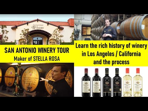 Parte 1 - Vinícola San Antonio Los Angeles I Stella Rosa I Tour e degustação de vinhos