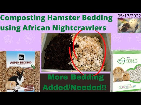 Compost Hamster Bedding with ANCs - More Bedding! 05/17/2022