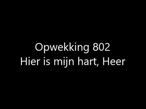 Opwekking 802 - Hier is mijn hart, Heer met tekst