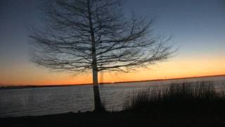 #nowplaying Dee Dee Bridgewater - Sorry Seems To Be The Hardest Word