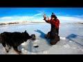 Video Thumbnail for Smashing Walleye’s Ice Fishing With My Electronic Hole Warmer