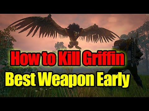 Witcher 3 Wild Hunt - How to Kill the Griffin Fast in 2020