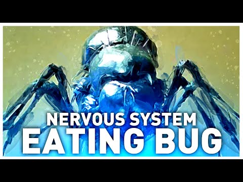 The Brain Control Bug from Starship Troopers 2 Explained | Parasitic Consumption of Neural Tissue