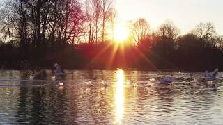 J.S.Bach Partita Nr.1 B-Dur Sarabande