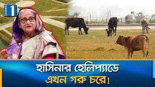 আওয়ামী লীগের তীর্থস্থান এখন মহাশ্মশান | Awami League | Gopalganj | Channel One News
