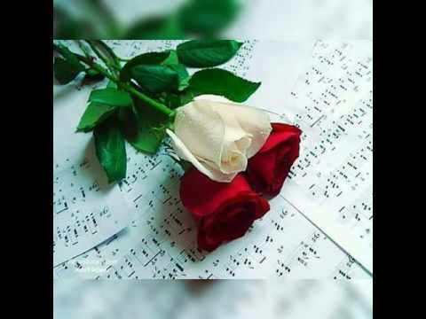 Merci yahwe sonia carre d'as