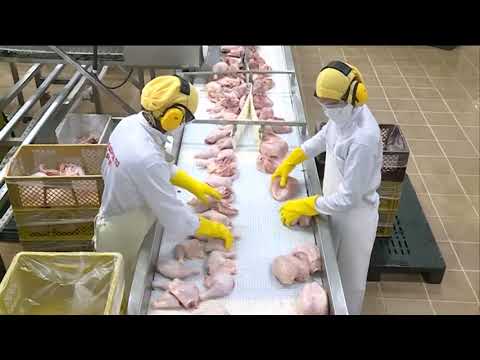 planta Avidesa Mac Pollo en el municipio de Cereté departamento de cordoba