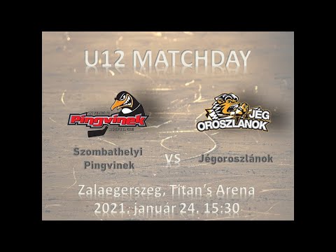 U12 389 Szombathelyi Pingvinek - Jégoroszlánok (élő közvetítés)