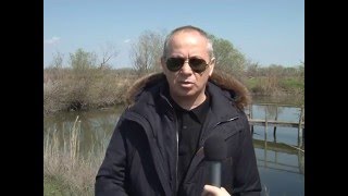 Проблемы и перспективы развития рыбного хозяйства в россии