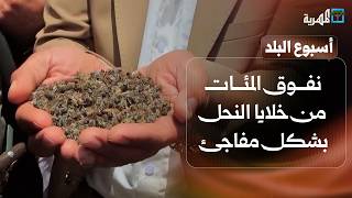 نفوق المئات من خلايا النحل بشكل مفاجئ وسرطان خبيث يباغت جسد طفل صغير | أسبوع البلد