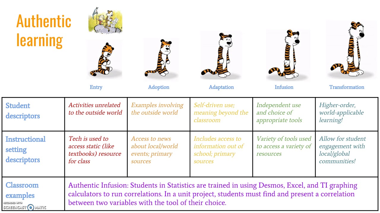 authentic learning (TIM model)