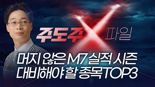 긴급 특집! 머지 않은 M7 실적 시즌...대비해야 할 종목 TOP3 | 홀짝박사 '주도주 X파일' 251217