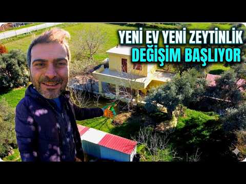 YENİ KÖY EVİ YENİ ZEYTİNLİK DEĞİŞİM BAŞLIYOR - KÖYDE YENİ BİR BAŞLANGIÇ
