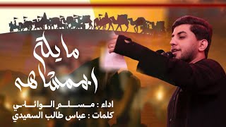 مايله بممشاهه| مجلس ليالي الاربعين في الصحن الحسيني الشريف 1447 هـ