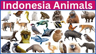 50 Incredible Wildlife Encounters in Indonesia