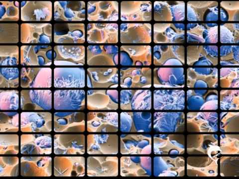 Sator Arepo Vs Chromatec - Melted [163]
