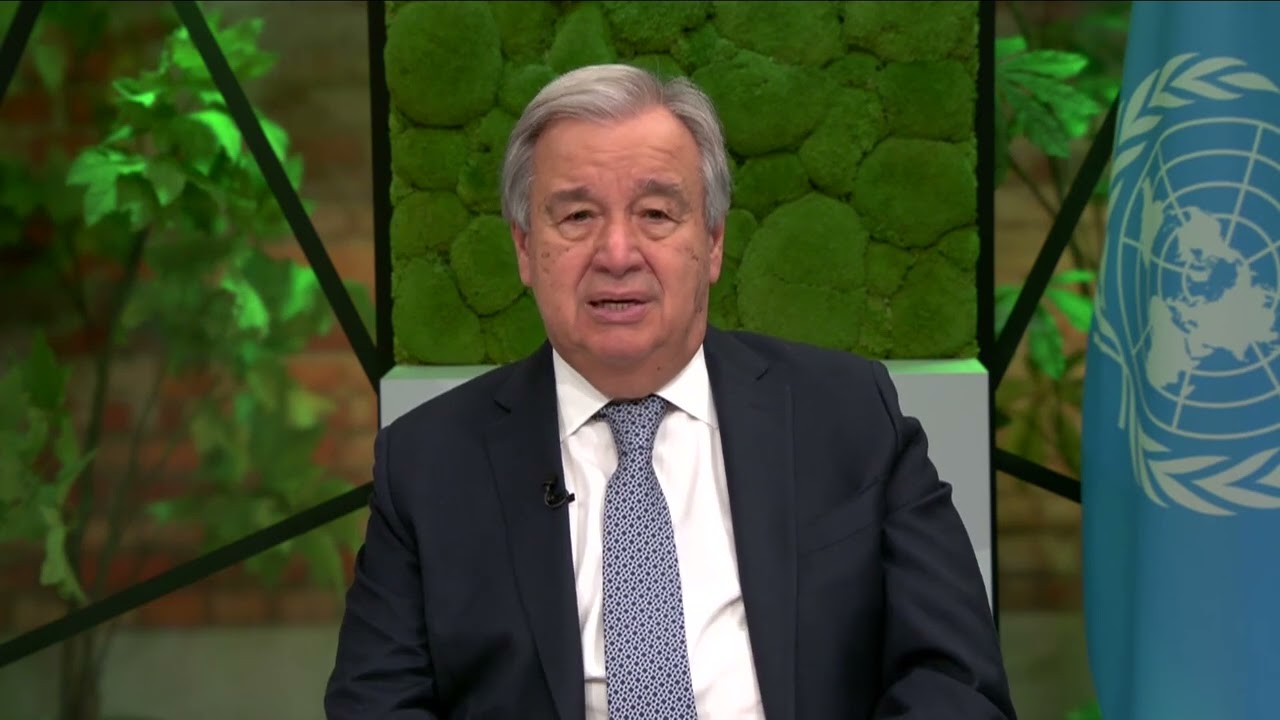 Dia Internacional da Educação