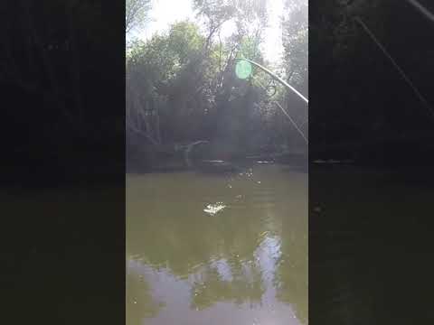 Blow up on the Whopper Plopper #shorts