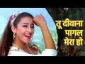 Tu Deewana Pagal Mera Ho Gaya Full Song Kumar Sanu Alka Yagnik Anokha Andaaz 1994