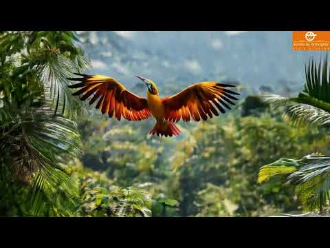 Beautiful Birds of the Jungle: Mesmerizing Sounds for Nature Lovers