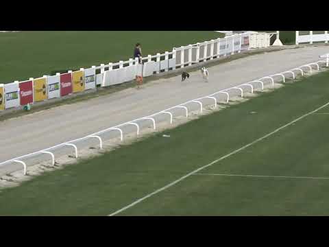 2023.04.22. 16. futam - Szezonnyitó Nagydíj