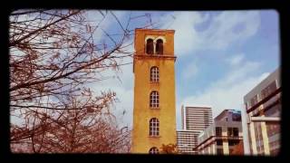 Let Me In - Wiretree