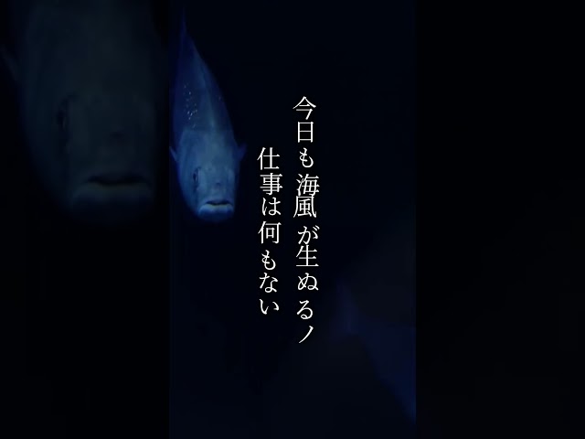 事後調査報告：デカトリア事象よりマイナス８１日