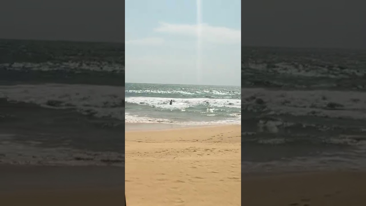 YouTube Short thumbnail