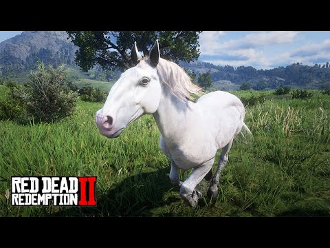 Salvando a vida de um POTRINHO - Levando ele para casa - Red Dead Redemption 2