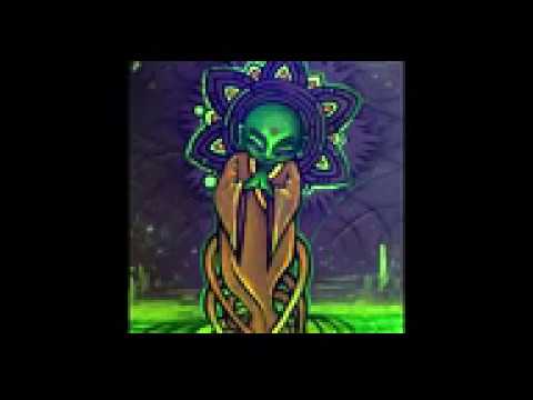 "Chaeleiro - Cidadão Espacial"