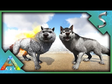 NEW DIREWOLF TLC MODEL & ABILITIES! NEW HUNTING ABILITY! - Ark: Survival Evolved [S4E95]
