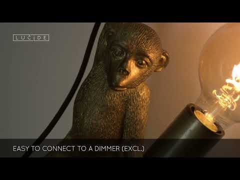 Lucide 102020130 Wall light EXTRAVAGANZA CHIMP 1xE2760W230V