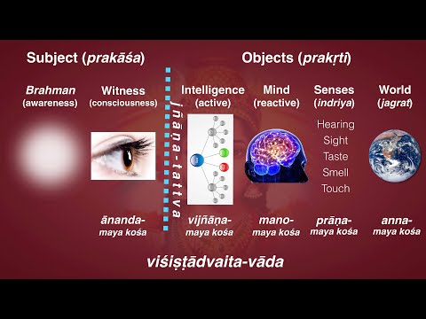 Consciousness: the Cosmic Keys - YouTube