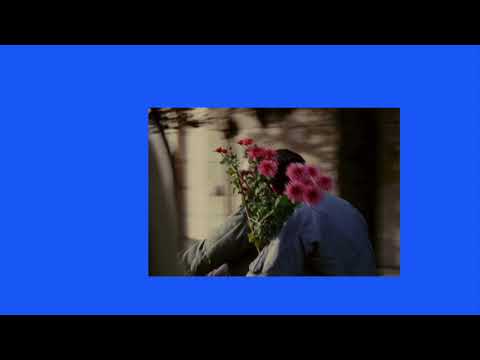 EYUKALIPTUS - CRIME.