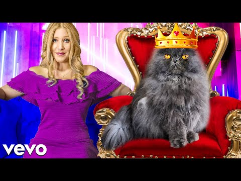 So I Made a Music Video for My Cat... *funny*