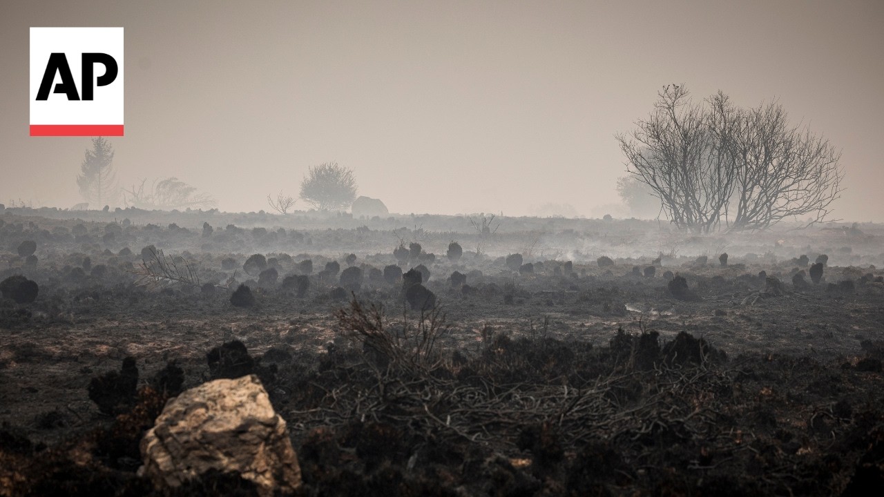 Video: Regional police director details multi-agency response to record Belgium wildfire