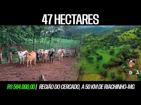 FAZENDA À VENDA – URUANA DE MINAS 47 HECTARES – R$ 564.000,00