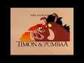 Disney S Summer Beach House Summer 2004 Timon And Pumbaa