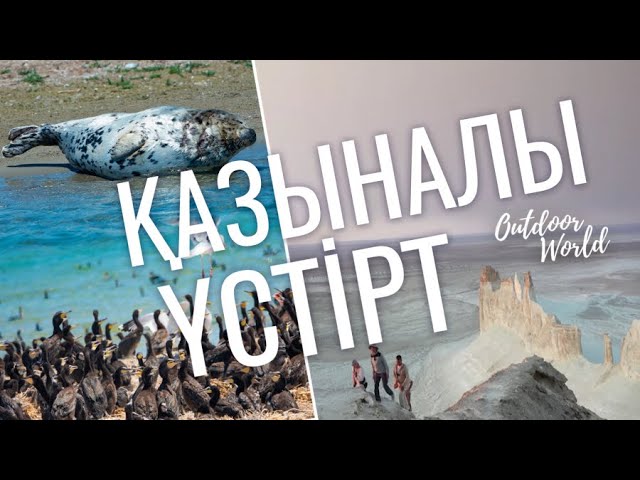 Маңғыстауға саяхат: Үстірт жазығы, Бозжыра тауы, Түпқараған түбегі