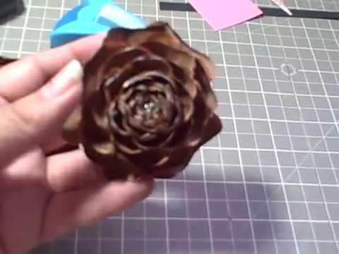 download lagu mp3 mp4 Rose Pine Cones, download lagu Rose Pine Cones gratis, unduh video klip Rose Pine Cones