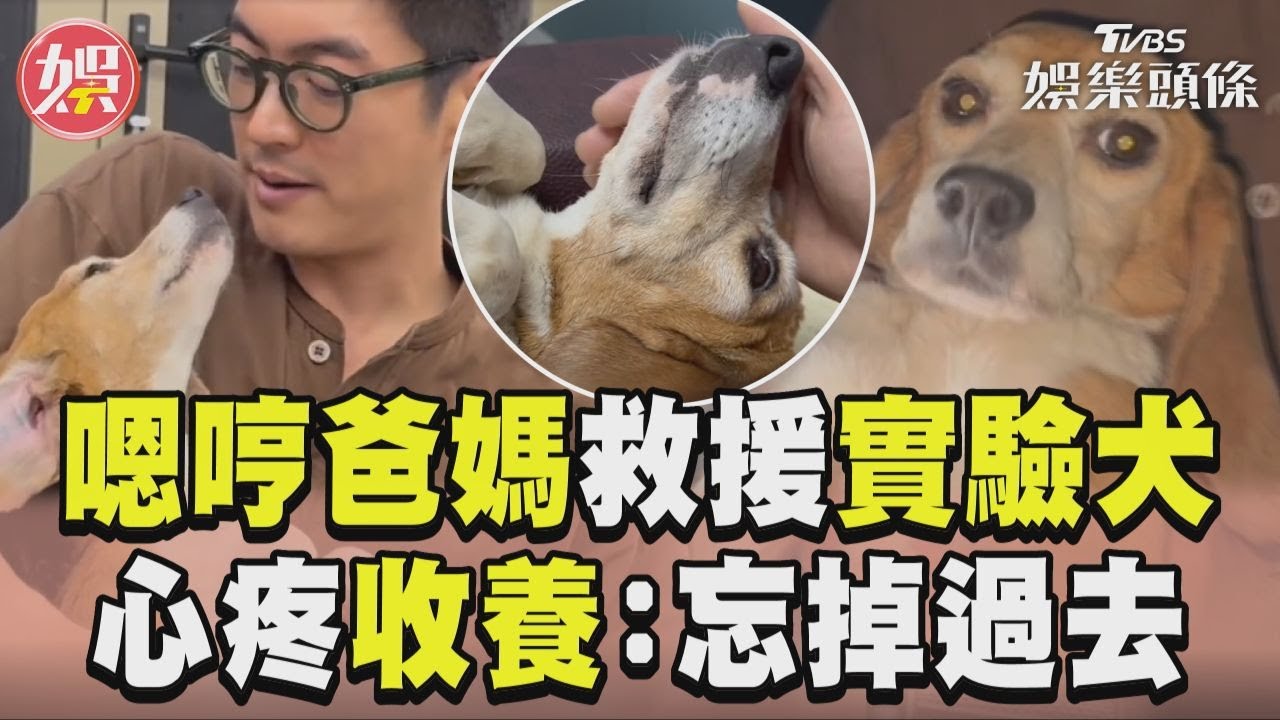 影音/嗯哼爸媽路邊救援實驗犬 心疼收養:忘掉前半輩子