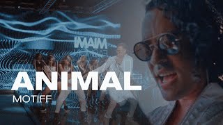 Animal Music Video
