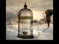 Dan Fogelberg - Empty Cages