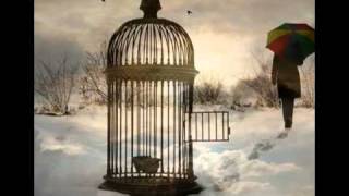 Dan Fogelberg - Empty Cages