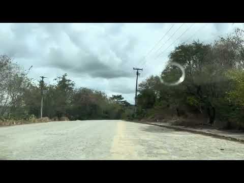 Mostrando a estrada da cidade de Palmeirina ￼￼